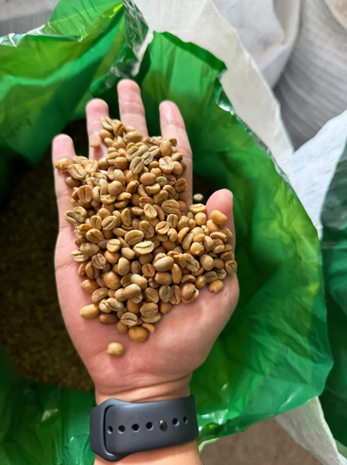 Arabica Anaerobic Natural coffee