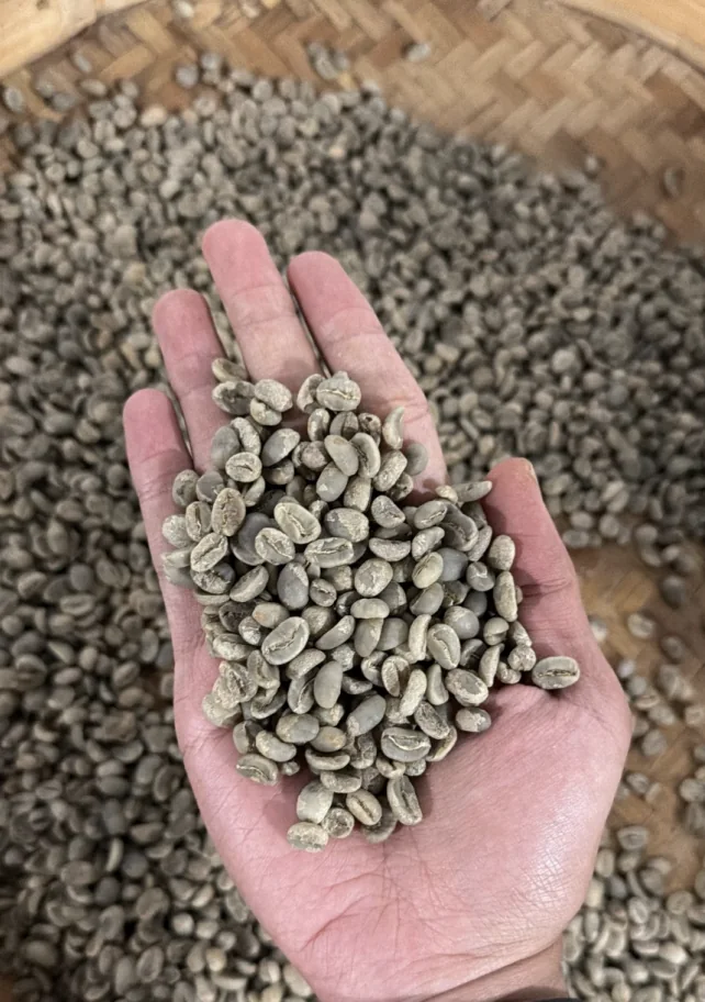 Arabica Full Wash coffee