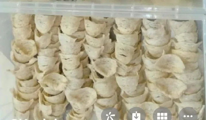 Corner shape swiftlet nest