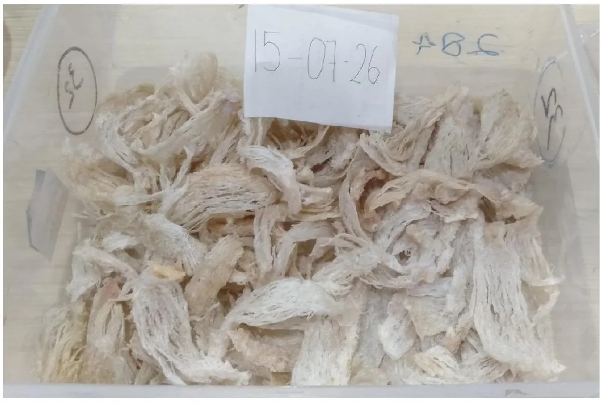 Swiftlet nest flakes